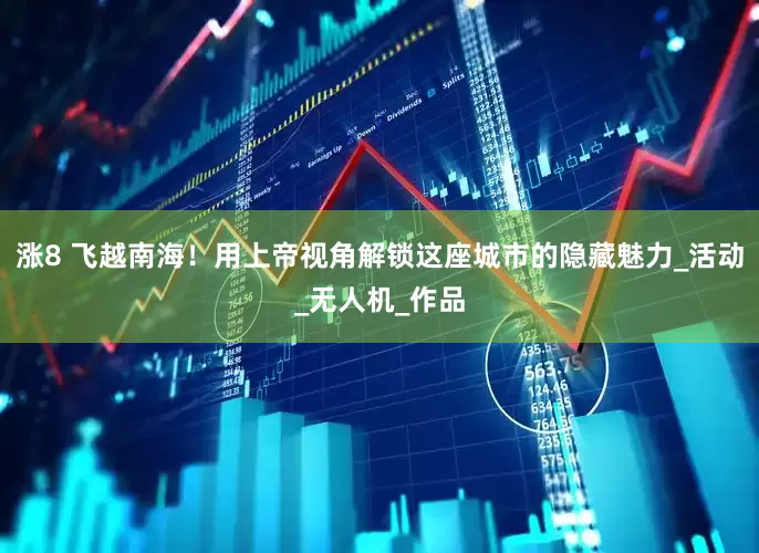 涨8 飞越南海！用上帝视角解锁这座城市的隐藏魅力_活动_无人机_作品