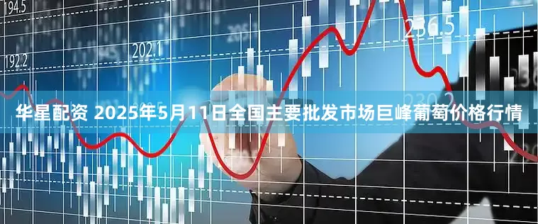 华星配资 2025年5月11日全国主要批发市场巨峰葡萄价格行情
