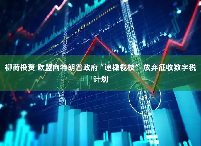 柳荷投资 欧盟向特朗普政府“递橄榄枝” 放弃征收数字税计划