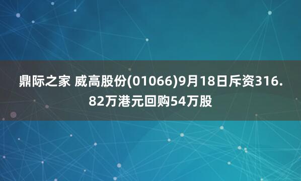 鼎际之家 威高股份(01066)9月18日斥资316.82万港元回购54万股